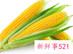 玉米的功效及作用