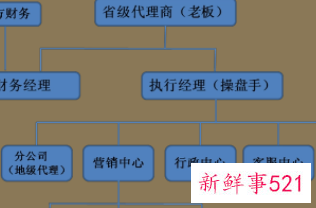 公司经营模式怎么填写