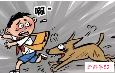 梦见狗咬人是什么寓意
