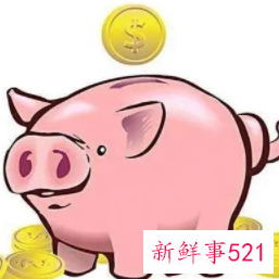 属猪男和什么属相最配