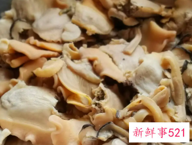 河蚌一般要煮多久可以吃