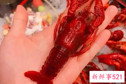 虾壳的营养价值及功效与作用