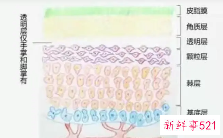 如何抑制油脂分泌