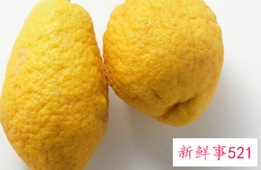 香橼的功效与作用禁忌