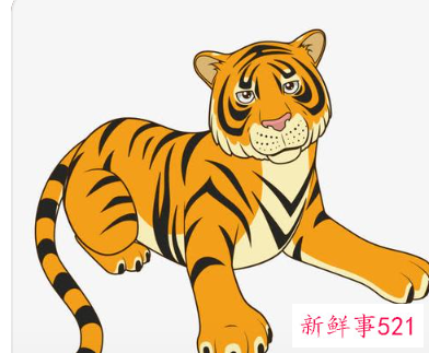 虎年宝宝小名洋气男孩满满