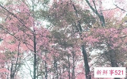 秋季美容护肤小常识