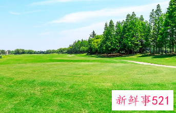 保护生态环境内容