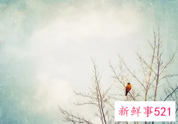 夏天梦见妈妈死了是什么预兆