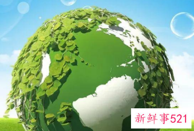 保护生态环境内容