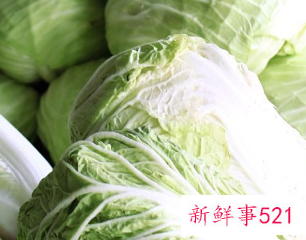 白菜的营养价值及功效