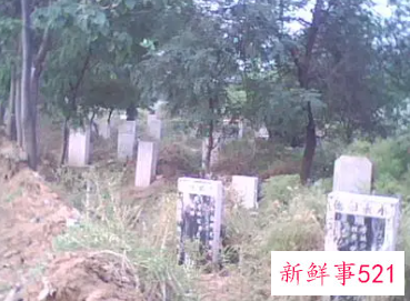 梦见自家地里很多坟