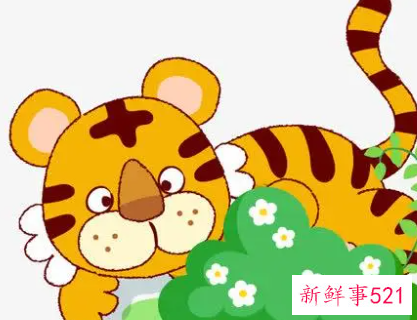 虎年宝宝小名洋气男孩满满