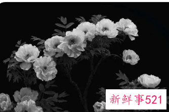 夏天梦见妈妈死了是什么预兆