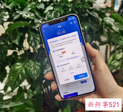 花呗怎么升级信用购