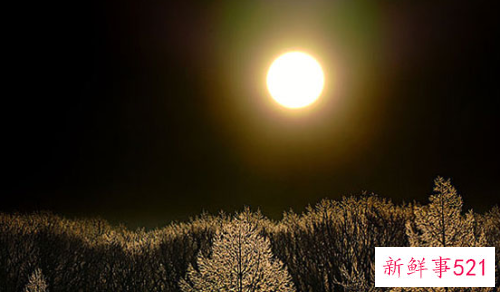 像月亮的银币睡前故事