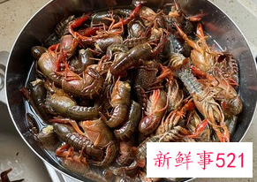 龙虾的做法大全简单
