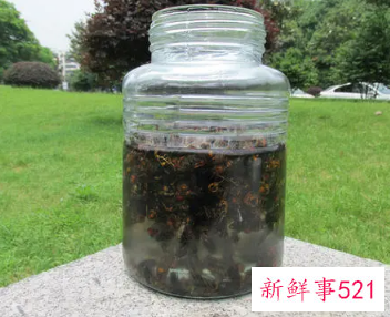 蜜蜂泡酒的作用与功效