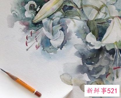 伤感的句子带人生感悟的