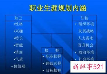 职业规划特长怎么写