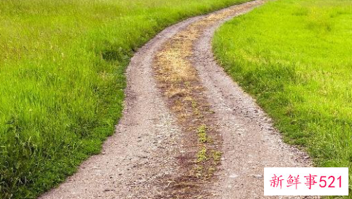 怎样才能让自己变得自律起来