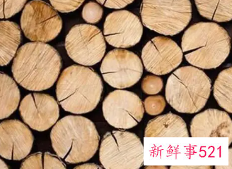 木头味道对小孩有害吗