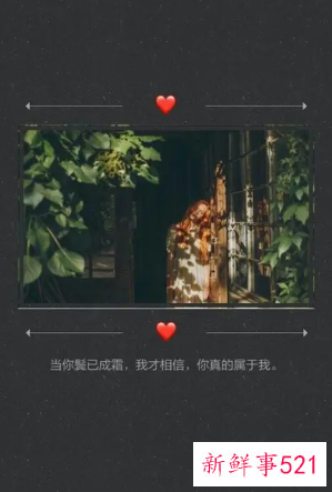 经典QQ签名真爱