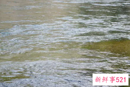 梦见打翻水什么意思