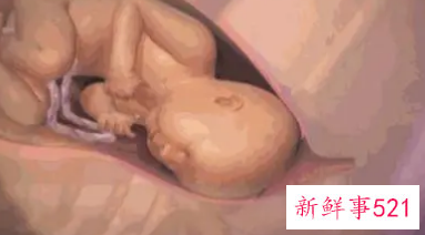 新生儿第一个月要准备什么东西