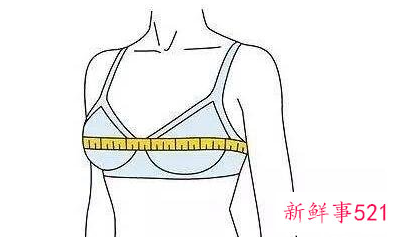女人标准的三围是多少