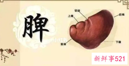 气血生化之源是指什么