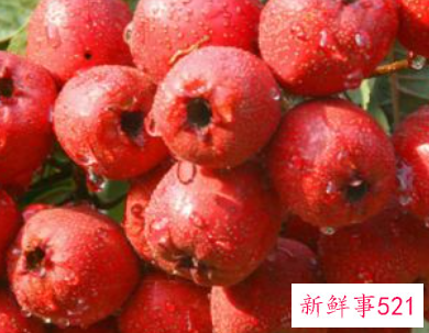 秋分一般都吃什么水果