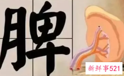 气血生化之源是指什么