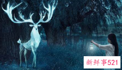 做梦是现实的预兆吗