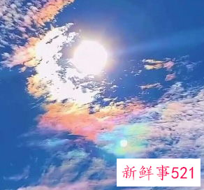 一般怀孕23周肚子有多大
