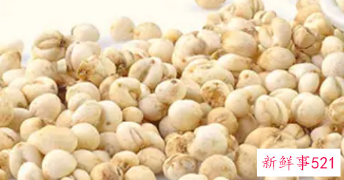 孕妇可以吃川贝吗