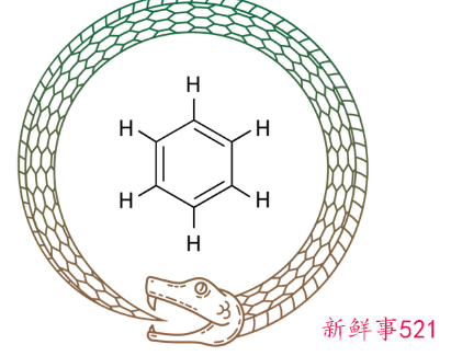 梦见见捉了一条蛇