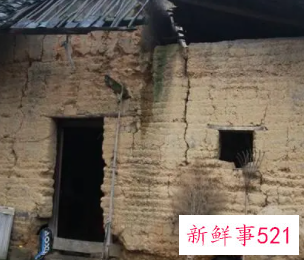 学生家庭基本情况要怎么写