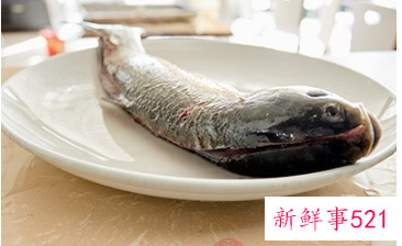 健脑的水果和食物