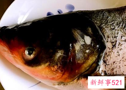 鲤鱼炖豆腐是加开水还是冷水