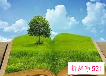 保护生态环境内容