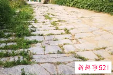 梦见石板断裂是什么意思