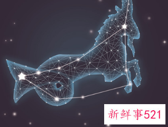 什么星座最恨狮子座