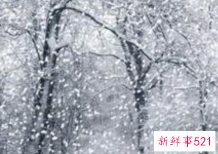 秋天梦见下雪是什么意思