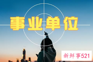 编制都有什么岗位