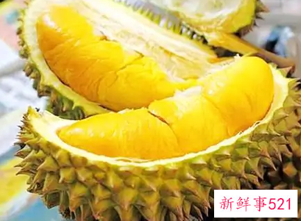 吃榴莲上瘾倾家荡产