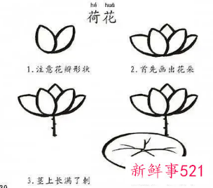 幼儿园画画大全简单漂亮