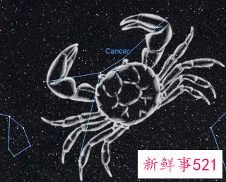 巨蟹男是大男人还是小男人