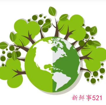 开展生态环境保护主题宣传活动