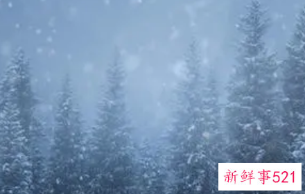 秋天梦见下雪是什么意思