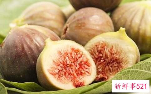 梦到无花果有什么寓意